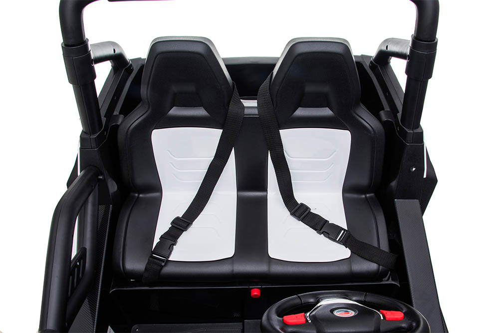 UTV Battery 12 Volt Ride on Car Toy